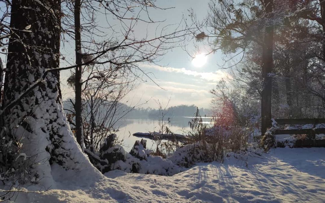 Wau-Holland | Innpuls.me